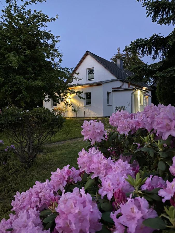 Gemuetliches Ferienhaus Spremberg Exterior photo